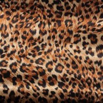 Animal Print