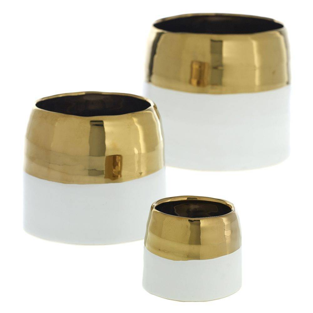 Gold / White - Calvin Compote