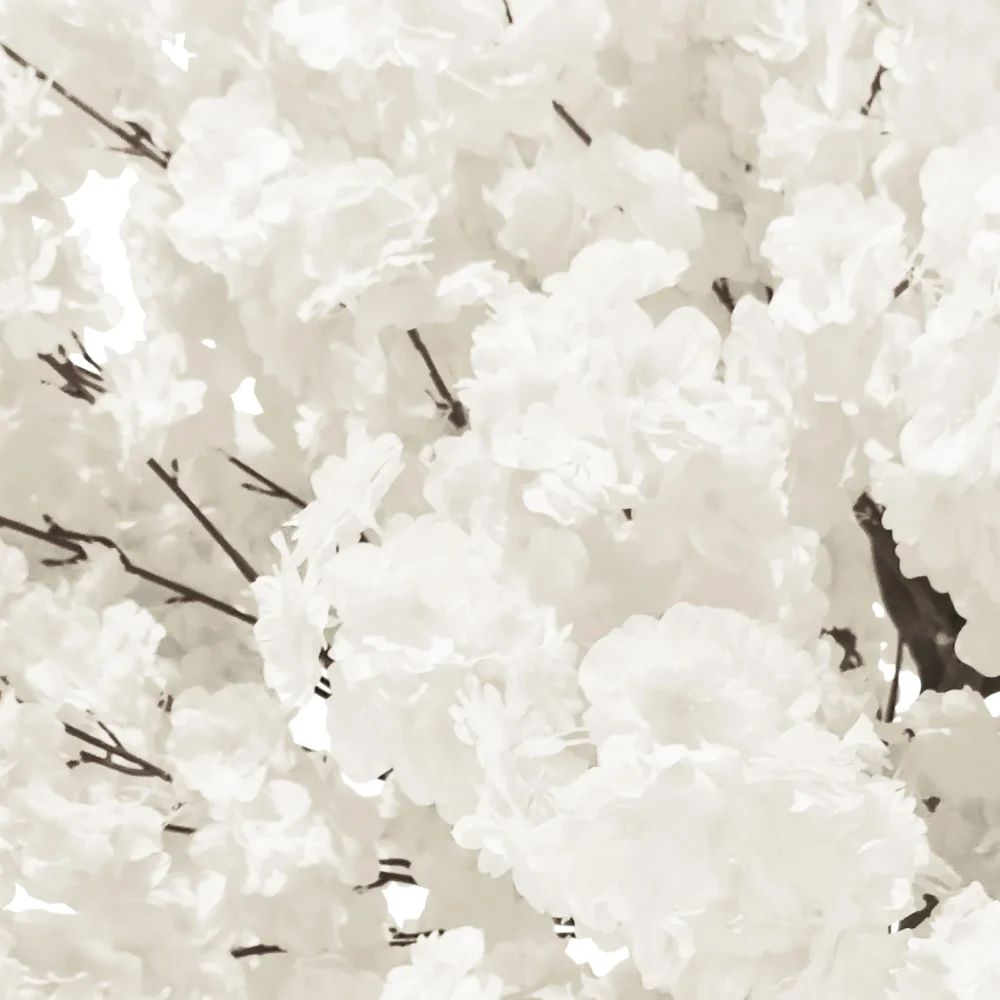 White - Cherry Blossom Tree (5.5ft) - Image 2
